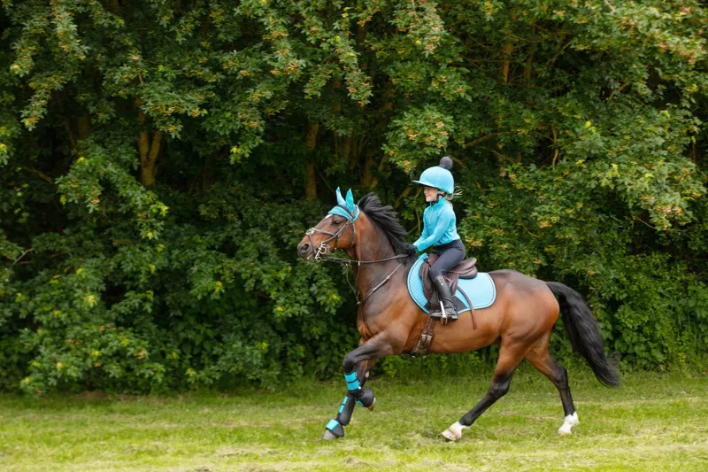 Hy Sport Active Brushing Boots - Sky Blue-2